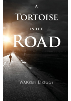 A Tortoise in the Road