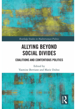 Allying beyond Social Divides