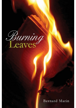 Burning Leaves