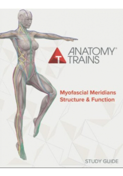Anatomy Trains Myofascial Meridians Structure & Function