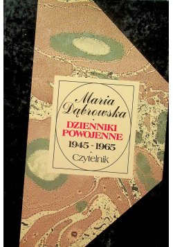 Dzienniki powojenne 1945  1965