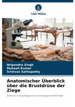 Anatomischer Überblick über die Brustdrüse der Ziege