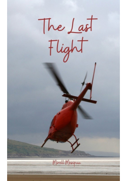 The Last Flight