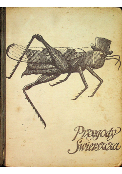 Przygody Świerszcza 1913 r.