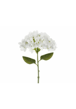 Hortensja biała 35cm