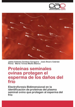 Proteínas seminales ovinas protegen el esperma de los daños del frío