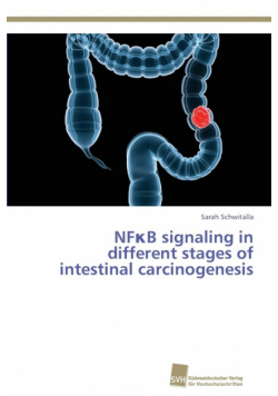 NFκB signaling in different stages of intestinal carcinogenesis