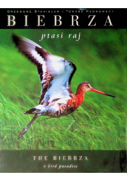 Biebrza Ptasi raj
