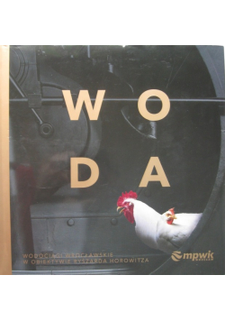 Woda wodociągi wrocławskie w obiektywie Ryszarda Horowitza