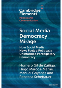 Social Media Democracy Mirage
