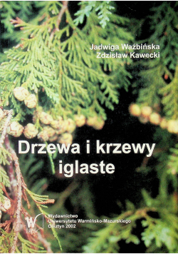 Drzewa i krzewy iglaste