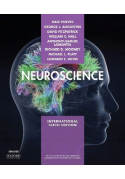 Neuroscience group work