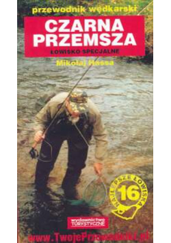 Czarna przemsza