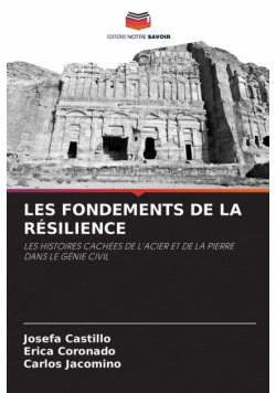 Les Fondements De La Résilience