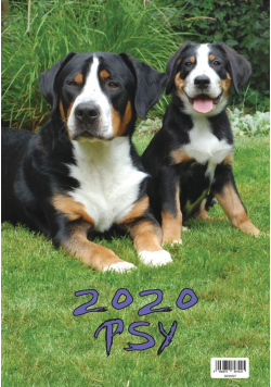 Kalendarz 2020 Wieloplanszowy Psy BESKIDY