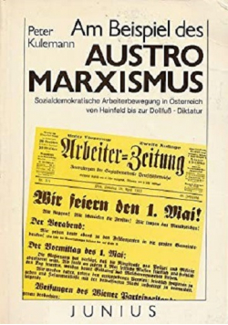 Am Beispiel des Austromarxismus