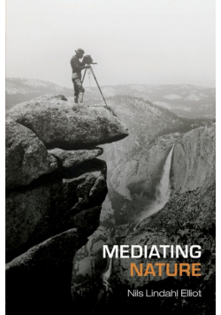 Mediating Nature