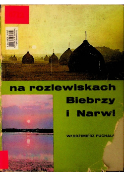 Na rozlewiskach Biebrzy i Narwi