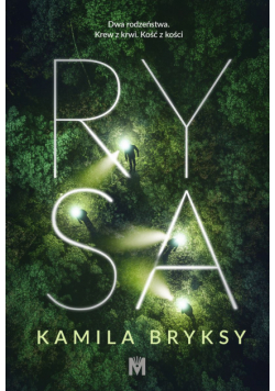 Rysa
