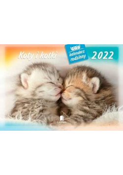 Kalendarz 2022 Rodzinny Koty i kotki WL9