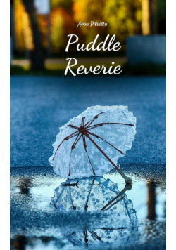 Puddle Reverie