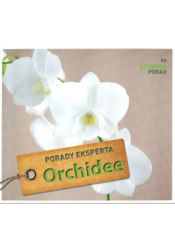 Orchidee