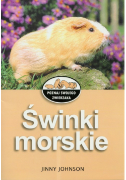 Świnki morskie