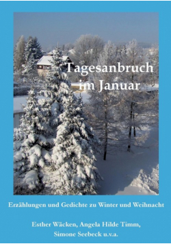 Tagesanbruch im Januar