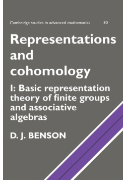 Representations and Cohomology