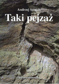 Taki pejzaż