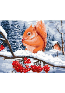 Malowanie po numerach Wiewiórka 40x50 cm
