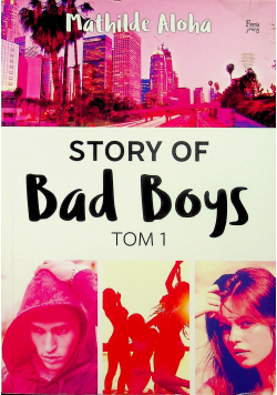 Story of Bad Boys Tom I