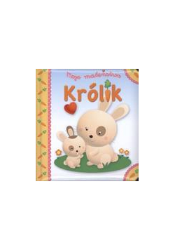 Moje maleństwo - Królik