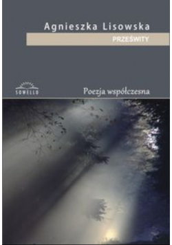 Prześwity