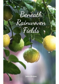 Beneath Rainwoven Fields