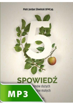 Spowiedź. 5 problemów dużych, 5 problemów... CD