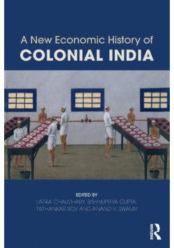 A New Economic History of Colonial India