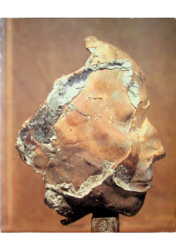 Magdalena Abakanowicz Skulpturen 1967 1989