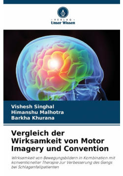 Vergleich der Wirksamkeit von Motor Imagery und Convention