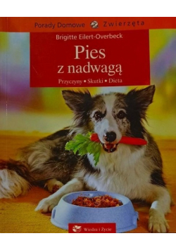 Pies z nadwagą