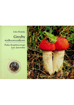 Grzyby wielkoowocnikowe