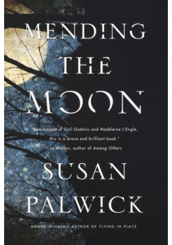 Mending The Moon