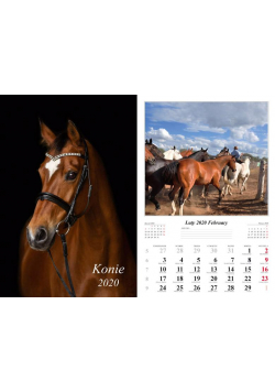 Kalendarz 2020 Konie 13 planszowy RADWAN