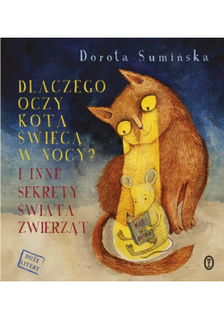 Dlaczego oczy kota świecą w nocy?