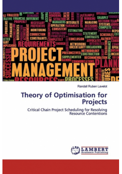 Theory of Optimisation for Projects