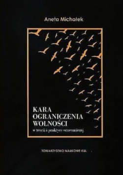 Kara ograniczenia wolności w teorii i praktyce
