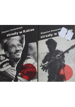 Strzały w Bejrucie \  Strzały w Kairze