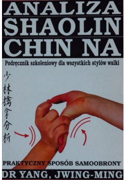 Analiza Shaolin Chin na