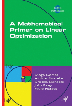 A Mathematical Primer on Linear Optimization