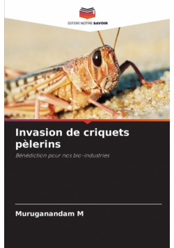 Invasion de criquets pèlerins